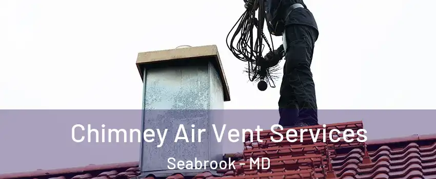 Chimney Air Vent Services Seabrook - MD