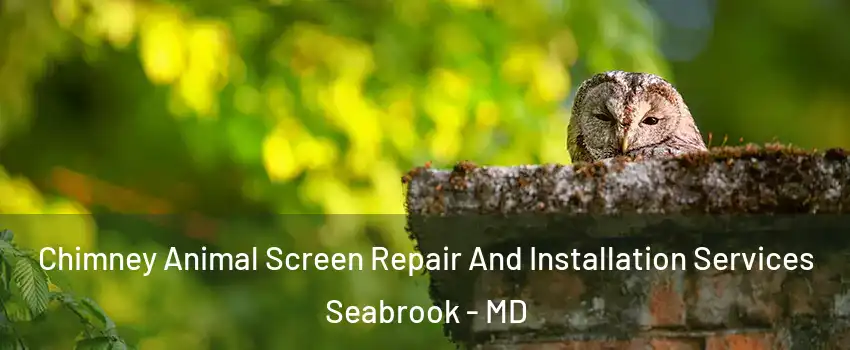 Chimney Animal Screen Repair And Installation Services Seabrook - MD
