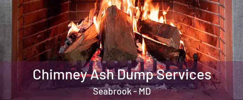 Chimney Ash Dump Services Seabrook - MD