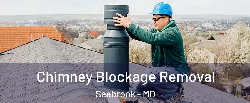 Chimney Blockage Removal Seabrook - MD