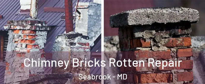 Chimney Bricks Rotten Repair Seabrook - MD