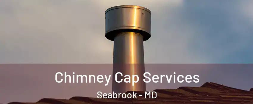 Chimney Cap Services Seabrook - MD