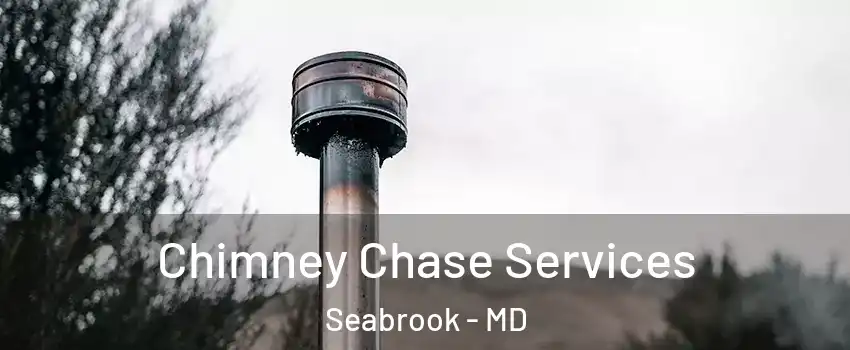 Chimney Chase Services Seabrook - MD