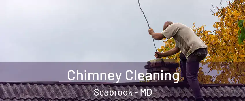 Chimney Cleaning Seabrook - MD