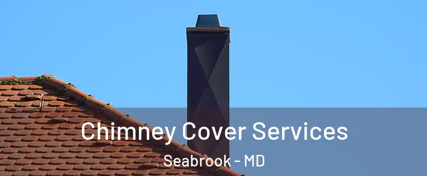 Chimney Cover Services Seabrook - MD