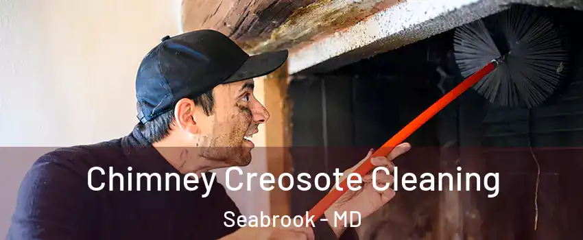 Chimney Creosote Cleaning Seabrook - MD