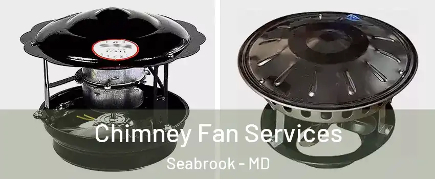 Chimney Fan Services Seabrook - MD
