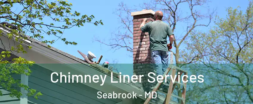 Chimney Liner Services Seabrook - MD