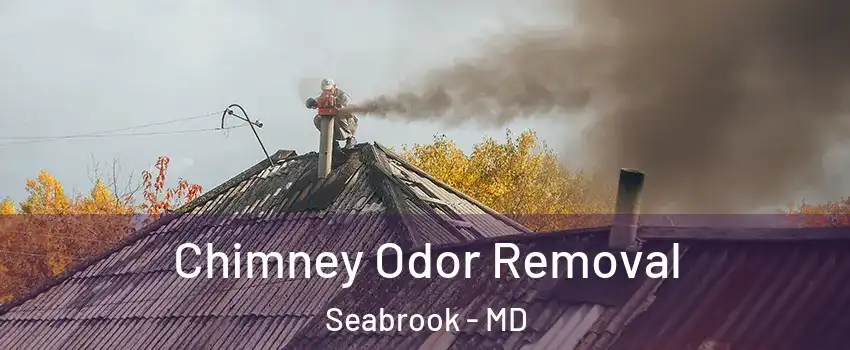 Chimney Odor Removal Seabrook - MD