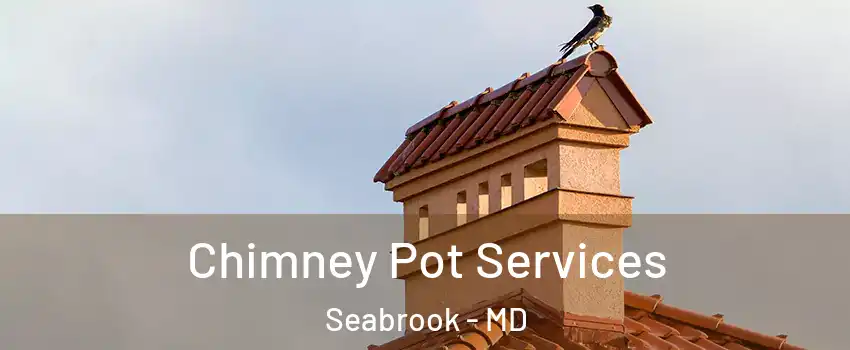 Chimney Pot Services Seabrook - MD