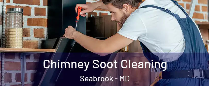 Chimney Soot Cleaning Seabrook - MD
