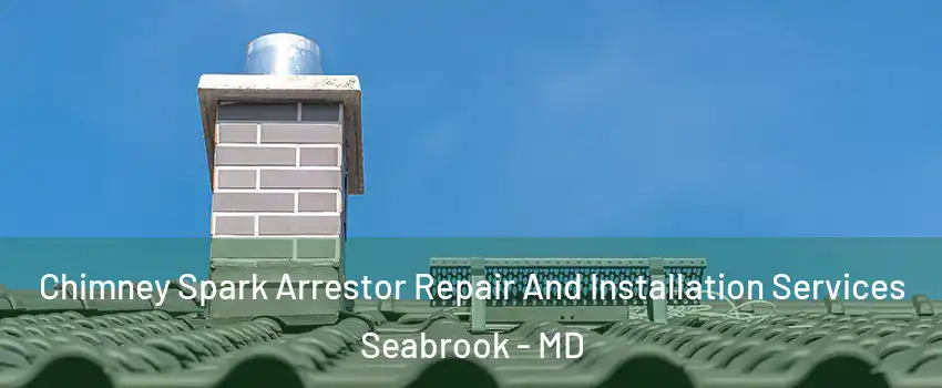 Chimney Spark Arrestor Repair And Installation Services Seabrook - MD