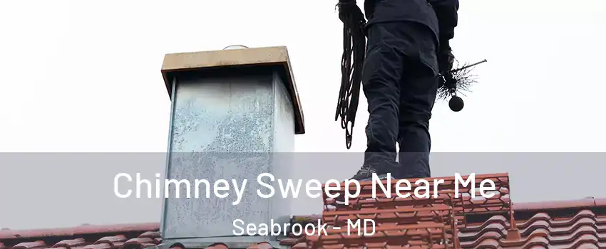 Chimney Sweep Near Me Seabrook - MD