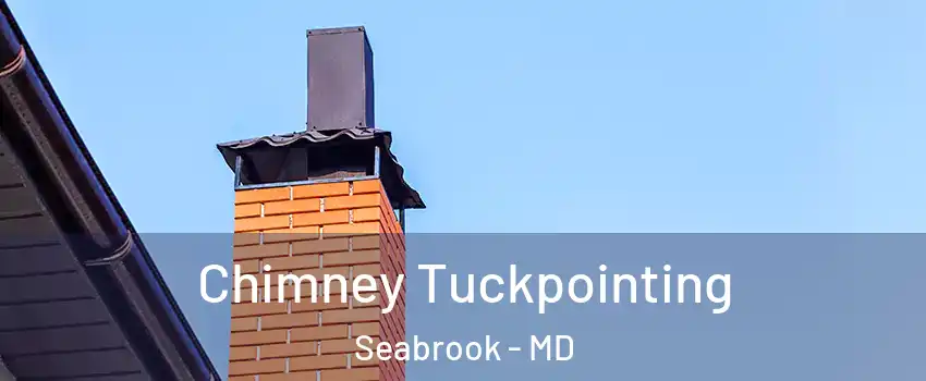 Chimney Tuckpointing Seabrook - MD