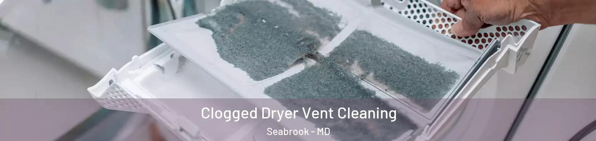Clogged Dryer Vent Cleaning Seabrook - MD