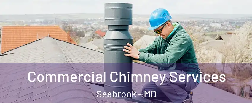 Commercial Chimney Services Seabrook - MD