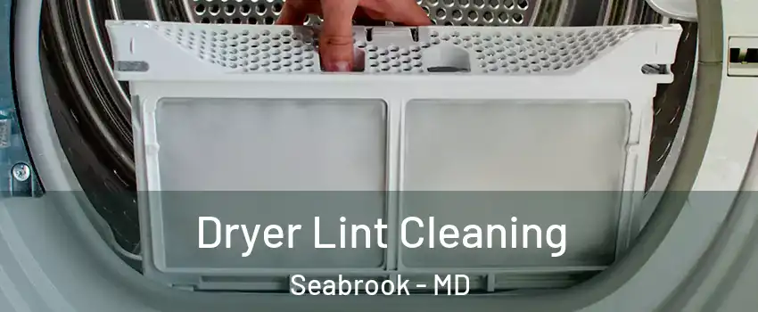 Dryer Lint Cleaning Seabrook - MD