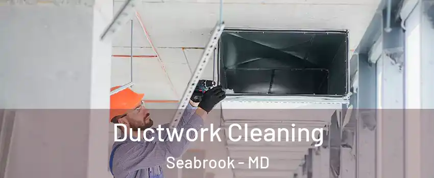 Ductwork Cleaning Seabrook - MD
