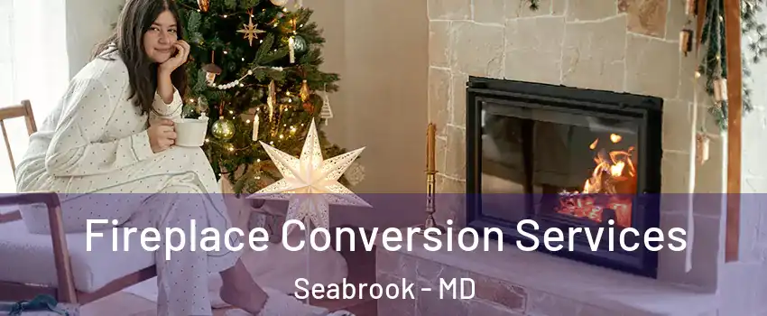 Fireplace Conversion Services Seabrook - MD