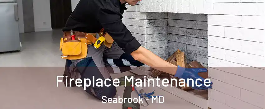 Fireplace Maintenance Seabrook - MD