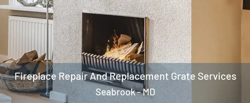 Fireplace Repair And Replacement Grate Services Seabrook - MD