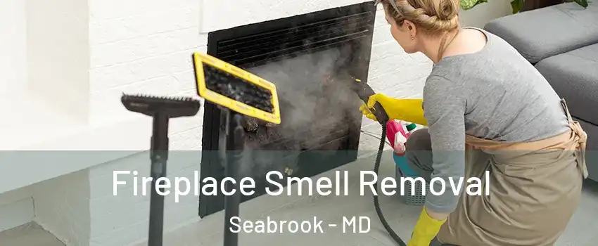 Fireplace Smell Removal Seabrook - MD