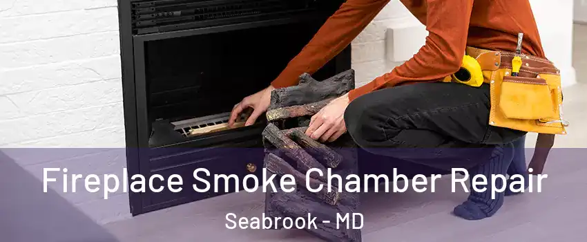 Fireplace Smoke Chamber Repair Seabrook - MD