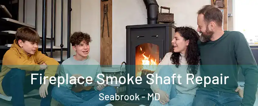 Fireplace Smoke Shaft Repair Seabrook - MD