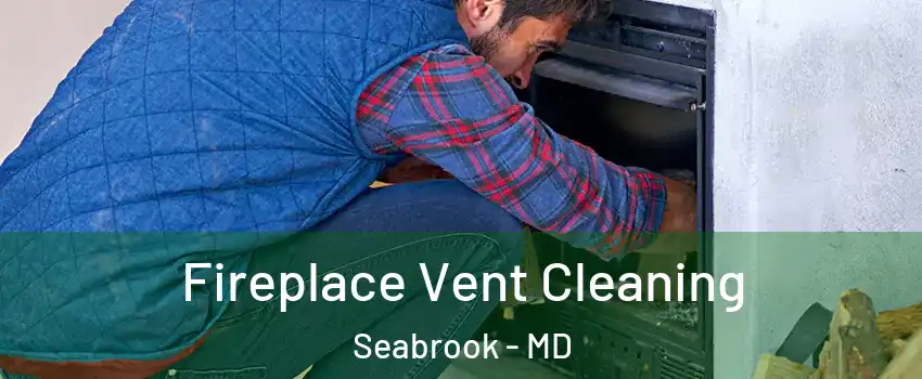 Fireplace Vent Cleaning Seabrook - MD