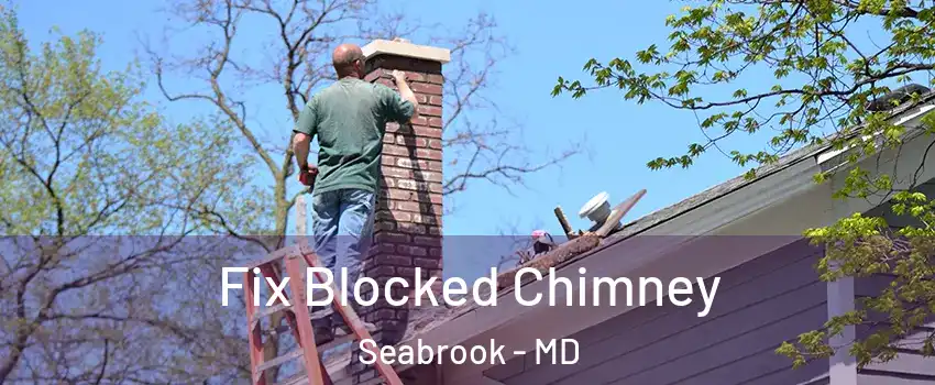 Fix Blocked Chimney Seabrook - MD