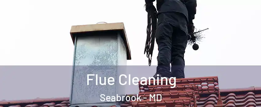 Flue Cleaning Seabrook - MD