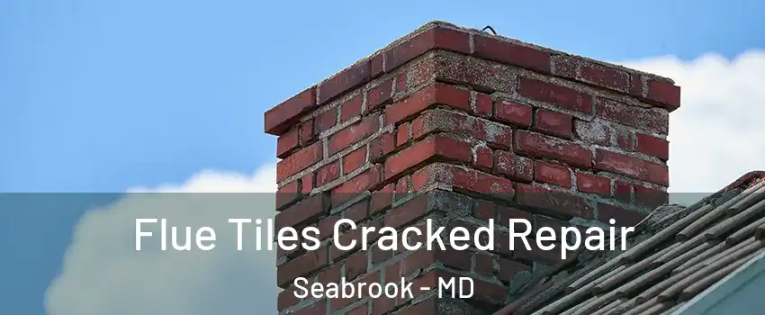 Flue Tiles Cracked Repair Seabrook - MD