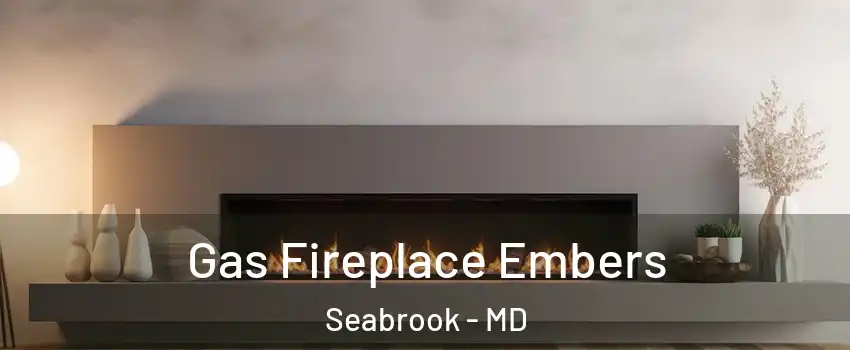Gas Fireplace Embers Seabrook - MD