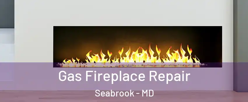 Gas Fireplace Repair Seabrook - MD