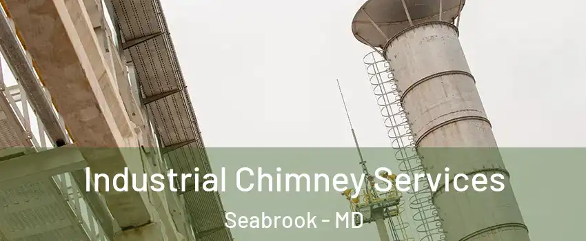 Industrial Chimney Services Seabrook - MD