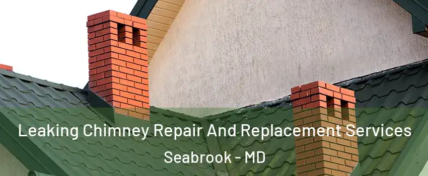 Leaking Chimney Repair And Replacement Services Seabrook - MD
