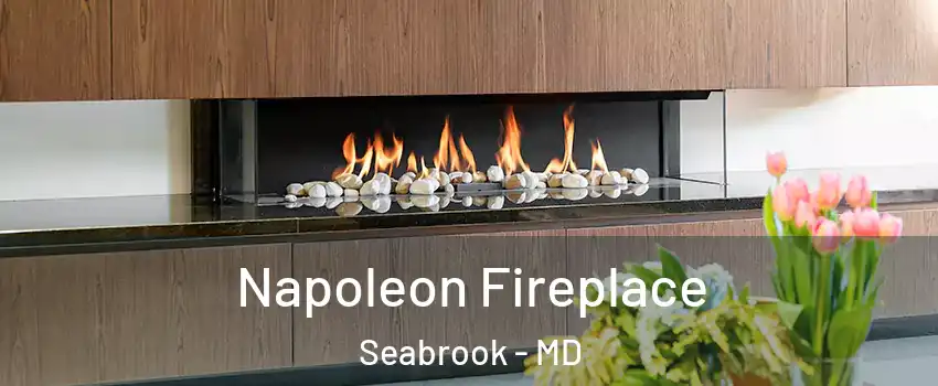 Napoleon Fireplace Seabrook - MD
