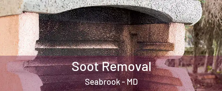 Soot Removal Seabrook - MD