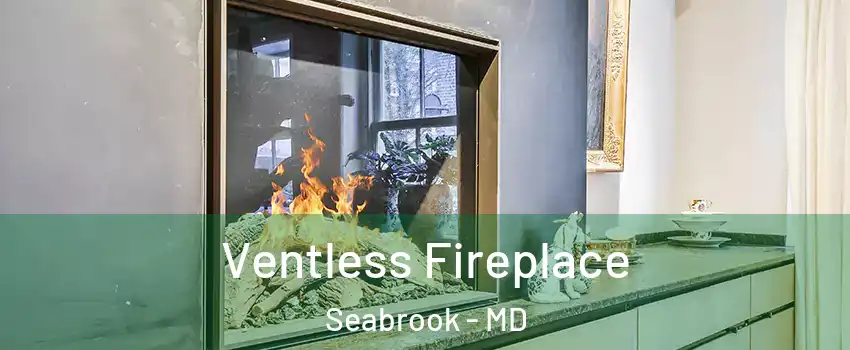 Ventless Fireplace Seabrook - MD