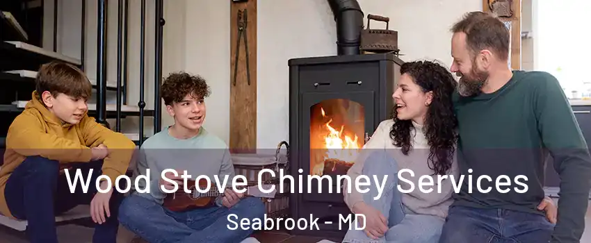 Wood Stove Chimney Services Seabrook - MD